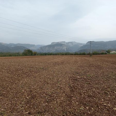 Royans-Vercors - Gite Chez Suzanne - 1-4 Personnes Saint-Thomas-en-Royans Eksteriør billede