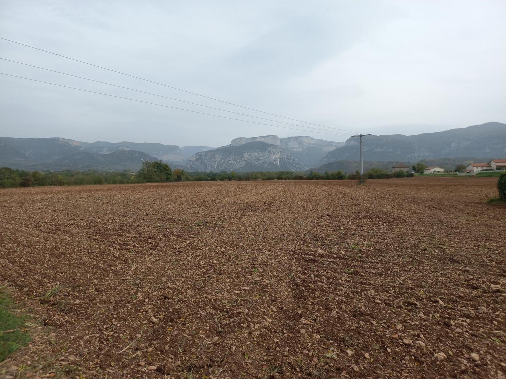 Royans-Vercors - Gite Chez Suzanne - 1-4 Personnes Saint-Thomas-en-Royans Eksteriør billede
